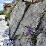 Nyaraló Demark *